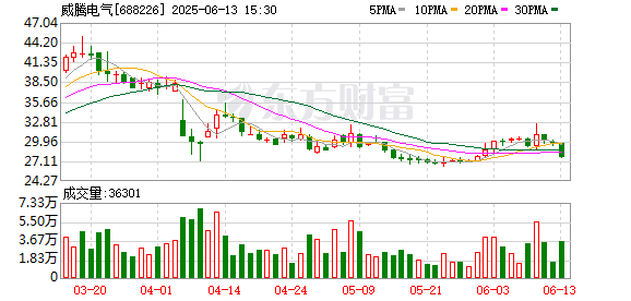股票配资资讯门户 威腾电气：2024年年度权益分派实施公告